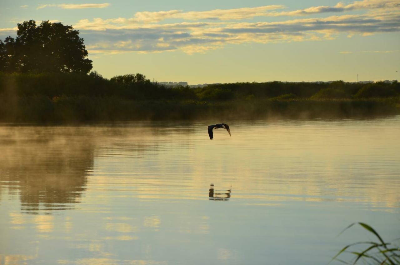 Domek Nad Odra Gryfino Buitenkant foto